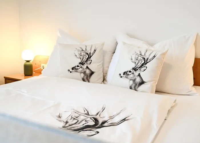 Joloisia Mit Blick Auf Planai * シュラートミンク